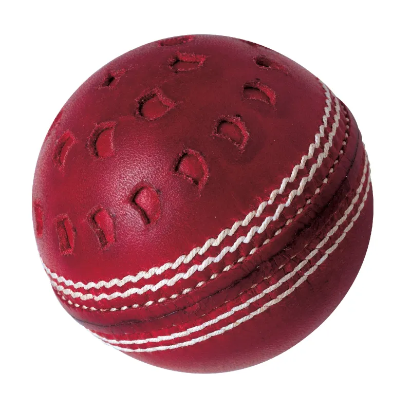 Cricket wagers at ozwin365