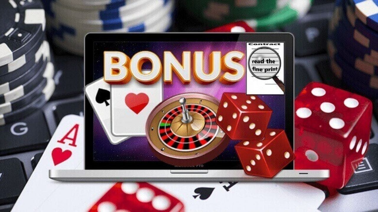 Bonus Terms & Support